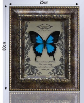 精美复古蝴蝶 定制礼品相框 立体装饰画框 展示品收藏框 标本框